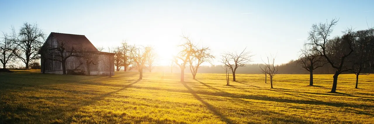 A wooden barn in a grassy field at sunset, surrounded by bare trees casting long shadows.