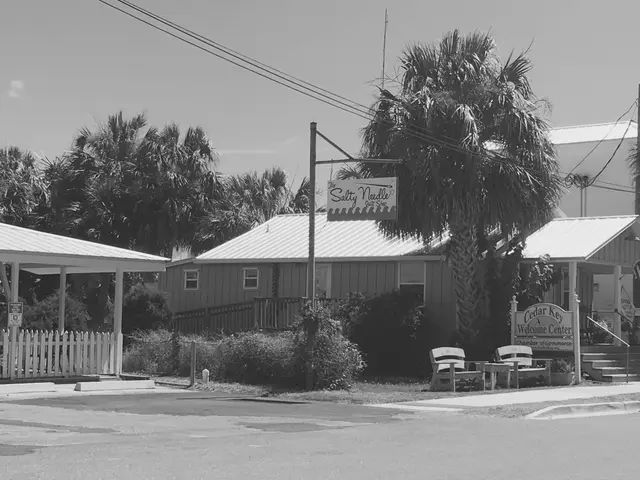 Black and white street photo of a small shop building and the Cedar Key Welcome Center sign, framed by palm trees.