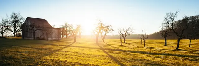 A wooden barn in a grassy field at sunset, surrounded by bare trees casting long shadows.
