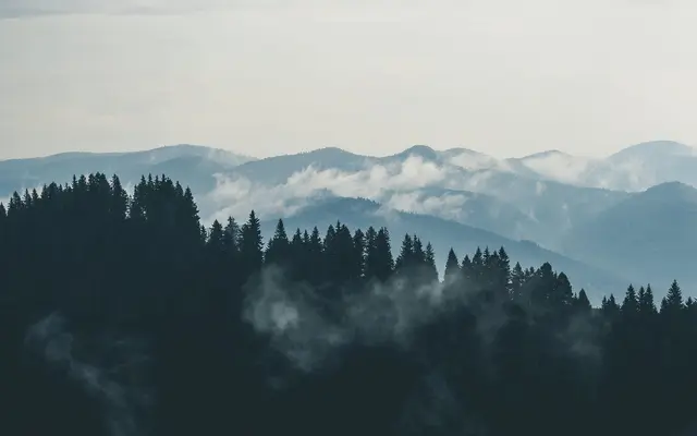 Layered mountain ridges with wisps of fog drifting through a pine forest silhouette.