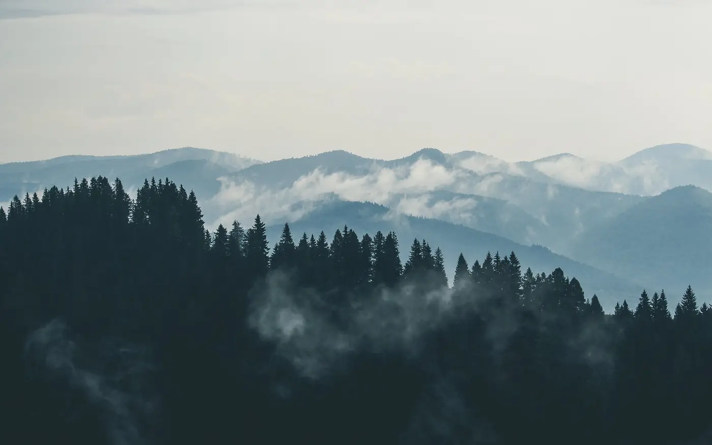 Layered mountain ridges with wisps of fog drifting through a pine forest silhouette.