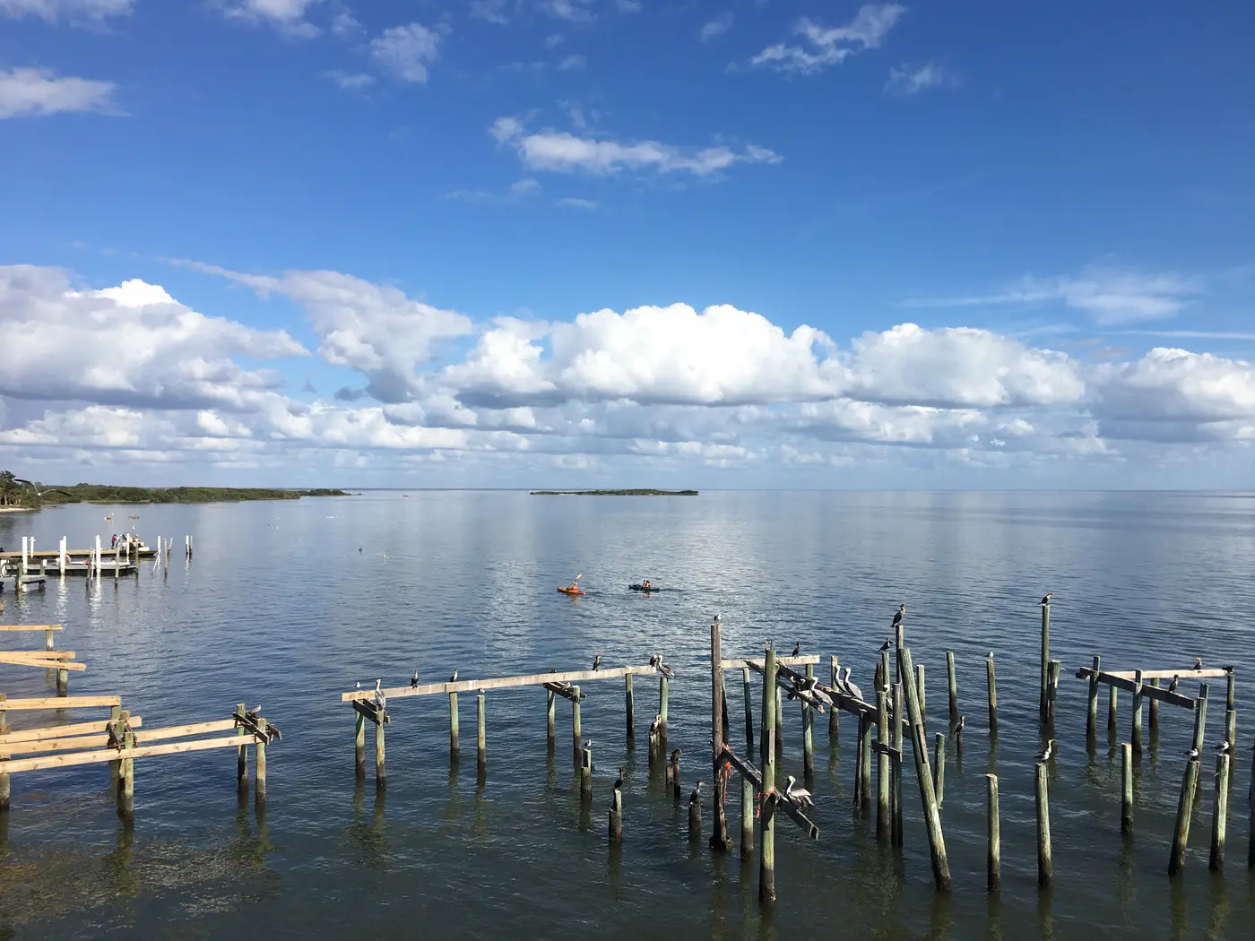 A calm coastal bay with birds perched on old dock pilings and kayakers paddling in the distance.