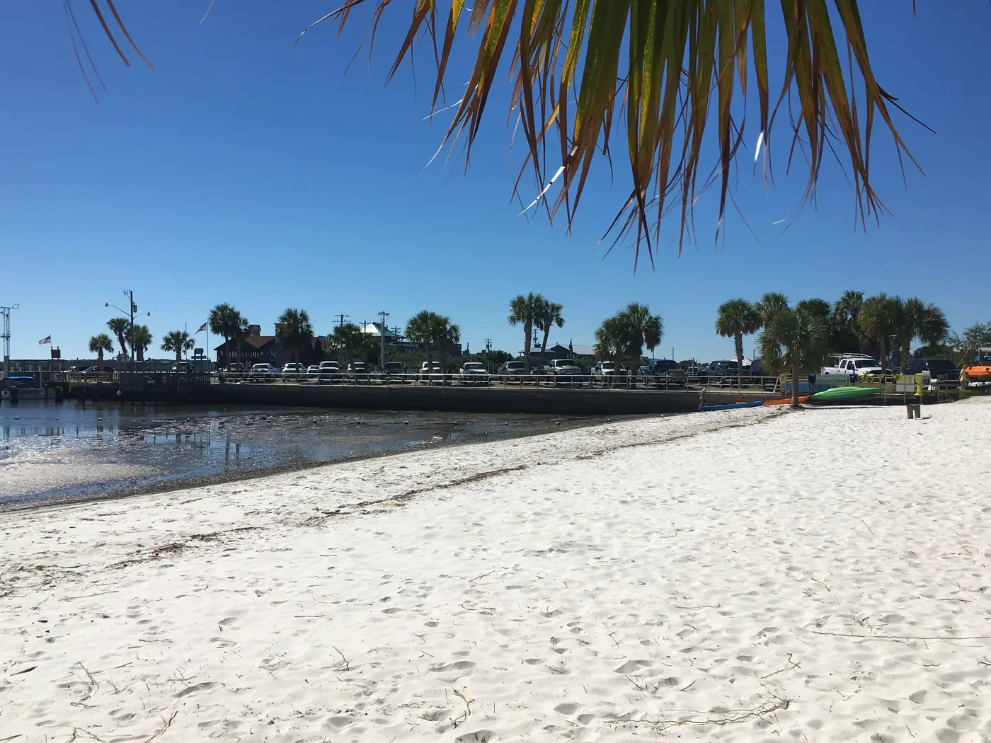 A palm frond hangs over a view of a sandy waterfront with docked kayaks and parked trucks along the shore.